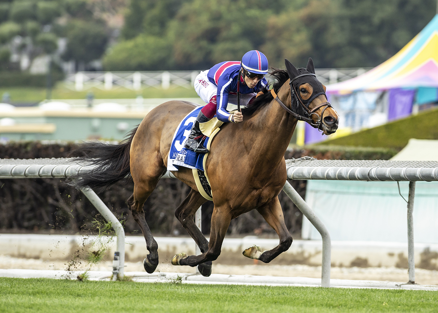 Angel Nadeshiko steals Robert J. Frankel Stakes with gate-to-wire move